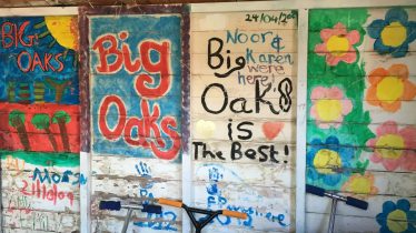 Big-Oaks-19-scaled
